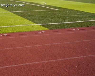 A sports field with vivid green grass divided into sections by white lines in the background. In the foreground, a track with a reddish-brown surface is marked with numbers and lines.